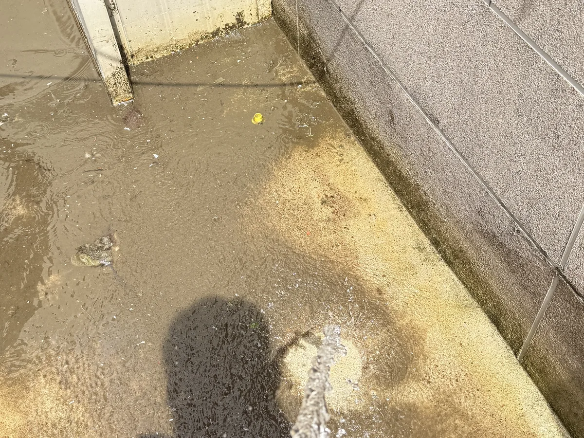 세종시 가람동 침수 현장 복도·대기 동선 야간 위생청소 사례 - 행진크린